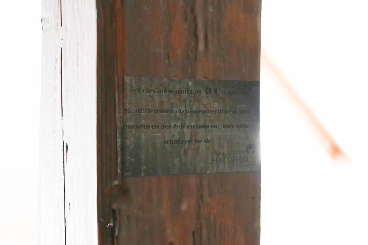 Parkhotel Forsthaus Tharandt Kültér fotó